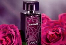 بهترین عطر و ادکلن برای میگرنی ها
